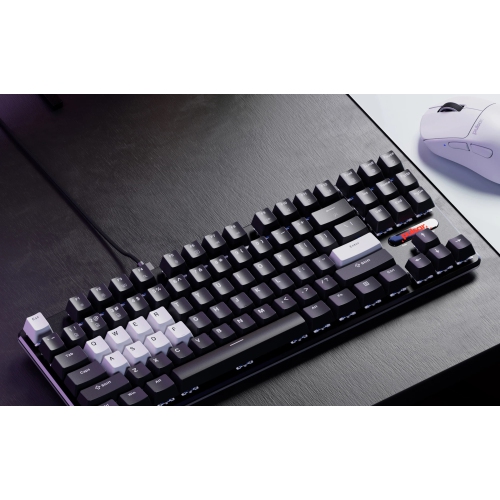 Pulsar Gaming Gears PCMK 2 Wired Hot-swappable RGB Mechanical Keyboard Hall Effect Switches Aluminum Alloy Plate TKL Layout, for Windows and Mac OS,