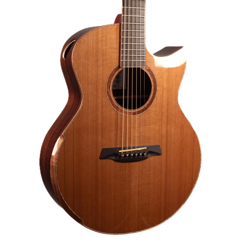 Avenir 20 Series Auditorium Body with Solid Cedar Top and Solid Indian Rosewood Back and Sides