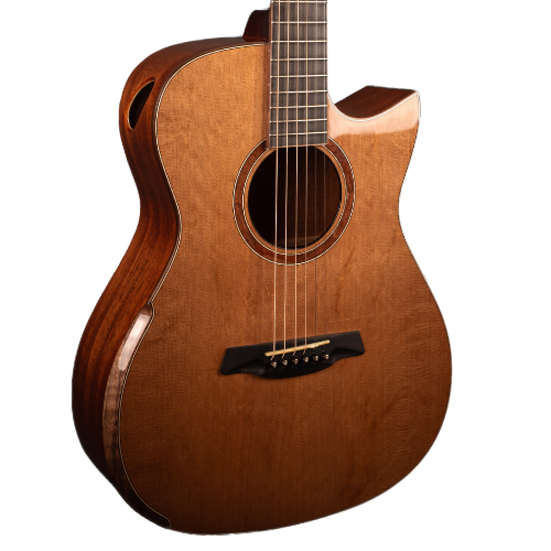 Avenir 20 Series Concert Body with Solid Cedar Top and Solid Mahogany Back and Sides Fingerstyle Acoustic Guitar