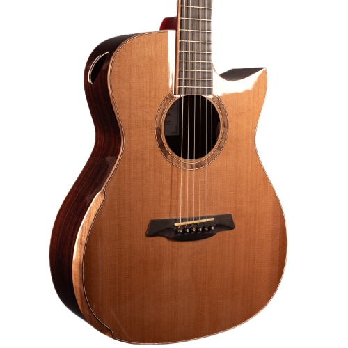 Avenir 20 Series Concert Body with Solid Cedar Top and Solid Indian Rosewood Back and Sides