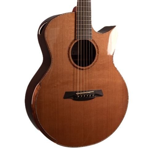 Avenir 25 Series Auditorium Body with Solid Cedar Top and Solid Wenge Back and Sides