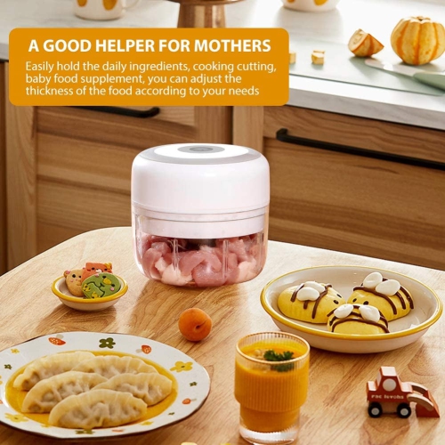 30W Mini Food Chopper - Electric Garlic Ginger Nut Crusher with Stainless Steel Blade, Double Cup, Easy Clean, USB Charging