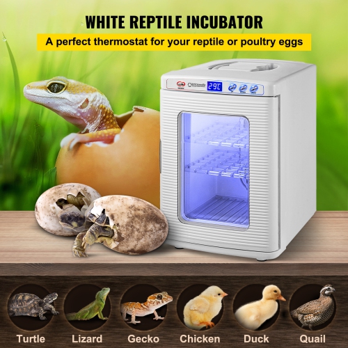 VEVOR 25L Reptile Incubator, Scientific Lab Incubator, Cooling and Heating 5 °C to 42 °C Automatic Incubator, 12V/110V White Reptile Egg Breeding