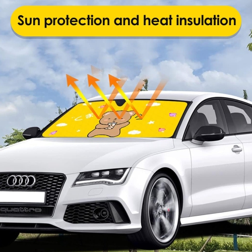 Car windshield visor, car sun visor