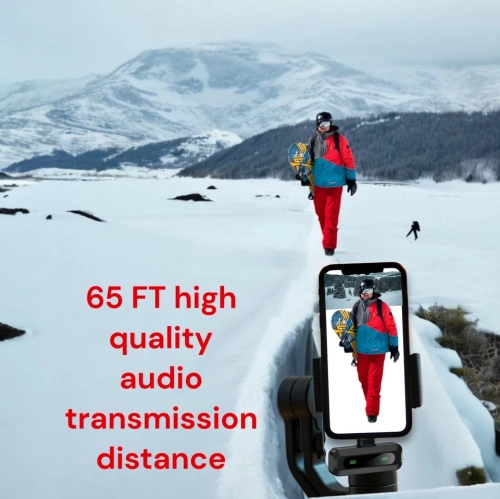 Wireless Lavalier Microphone Live Noise Reduction Wireless Microphone-Lightning Interface