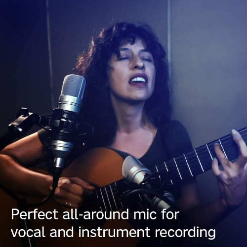 Tascam Tascam TM-80 Studio Condenser Microphone