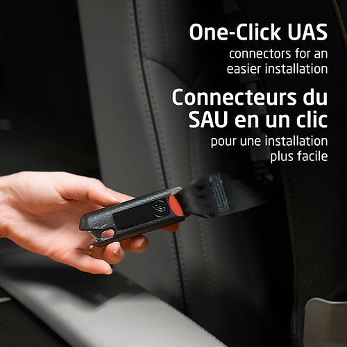 Maxi-Cosi Kani All-in-One Car Seat - Authentic Black