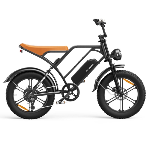 CYCROWN CycHunter Electric Bike for Adults - Black