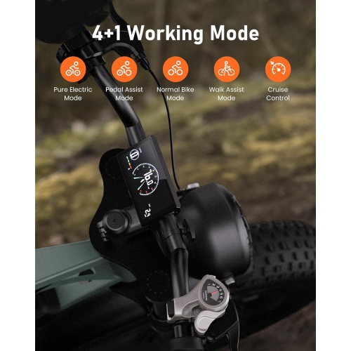 CYCROWN CycHunter Electric Bike for Adults - Black