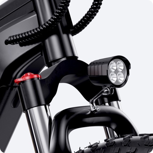 Vélo électrique à cadre bas à gros pneus CycUltra de CYCROWN - Vert jungle