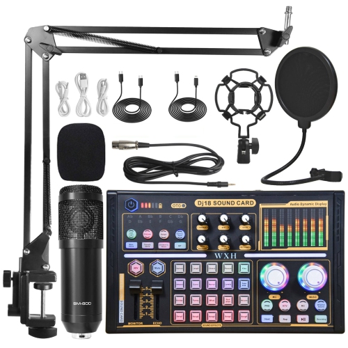 Professional recording studio audio set external microphone sound card with tuning equipment Black Silver