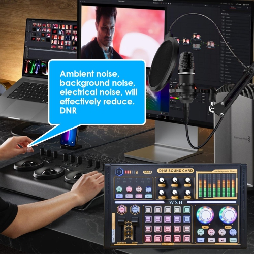 Professional recording studio audio set external microphone sound card with tuning equipment Black Silver