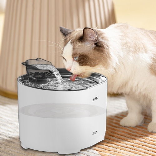 Pet water dispenser intelligent induction cat water dispenser automatic circulation filter live water drinking artifact [plug-in standard version