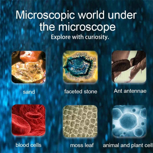 1000X Handheld Digital Microscope for Kids - 2.0" Screen, Rechargeable Portable Pocket Scope - Science Gadget Edu Gift for Ages 4-12