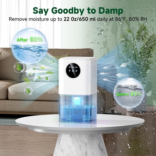 Home Dehumidifier with Water Tank,Portable Dehumidifier with Auto Shut Off & Defrost Timer & LED Light,Quiet Small Dehumidifier for Bathroom Bedroom