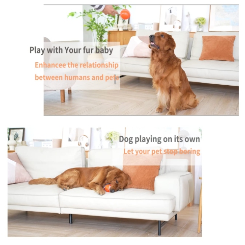 Interactive Dog Toy Ball with Remote Control,Active Rolling Ball for Dogs, Ball for Small Medium Large Dogs