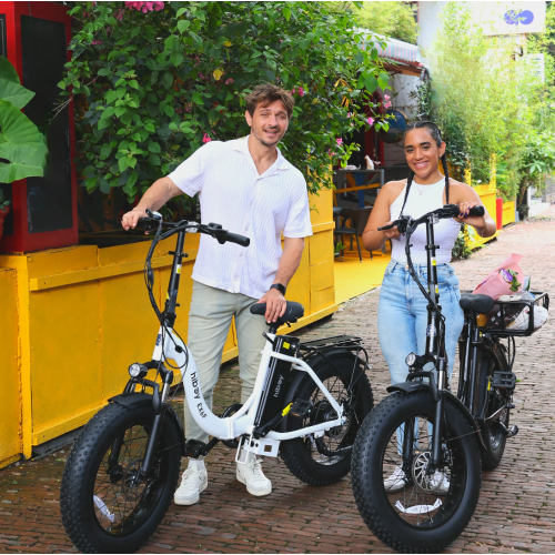 Vélo électrique pliable Hiboy EX6F pour adultes, moteur 750&nbsp;W Peak, gros pneus 20*4, batterie amovible 48&nbsp;V 14,5AH, autonomie maximale de