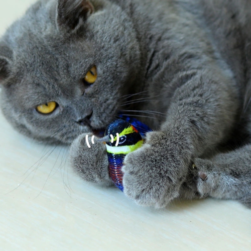 Cat Toys Chirping Bird, Suitable for Cat Wand Toys, Interactive Toys for Indoor Kitty Kitten Exercise, Blue