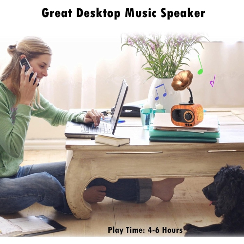 Portable Retro Music Speaker