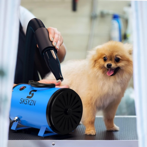 1200W high power professional pet hair dryer with adjustable speed and quiet function Insulated metal inner barrel Spiral heating wire outer shell