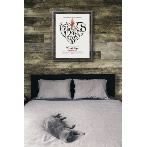 WHAT'S YOUR NUMBER? MOVIE POSTER 2 Sided ORIGINAL 27x40 ANNA FARIS