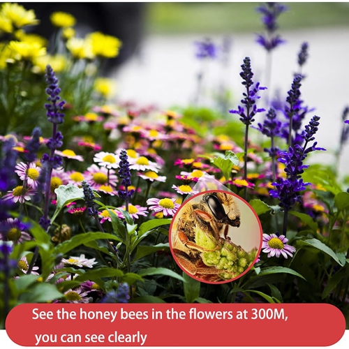 Télescope monoculaire 40X60 à zoom HD Jumelles monoculaire avec support pour téléphone intelligent et trépied Télescope compact à vision nocturne