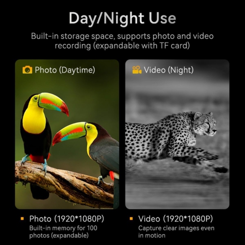 Jumelles de 2,8 po avec vision nocturne pour adultes, lunettes de vision nocturne de 2624 pi, zoom numérique 10x, infrarouge à 7 niveaux