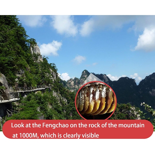 Télescope monoculaire 40X60 à zoom HD Jumelles monoculaire avec support pour téléphone intelligent et trépied Télescope compact à vision nocturne