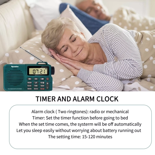 Portable FM/AM radio recorder, rechargeable multi-function music player - gray