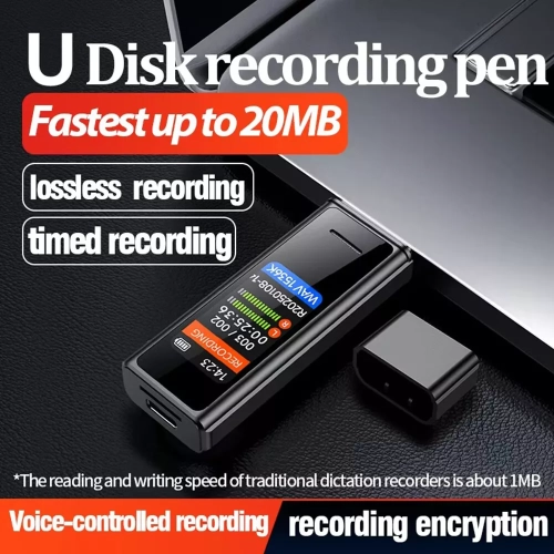 Mini USB digital voice recorder sound voice flash drive USB recorder - 8GB