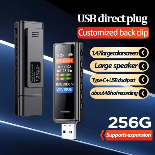 Mini USB digital voice recorder sound voice flash drive USB recorder - 8GB