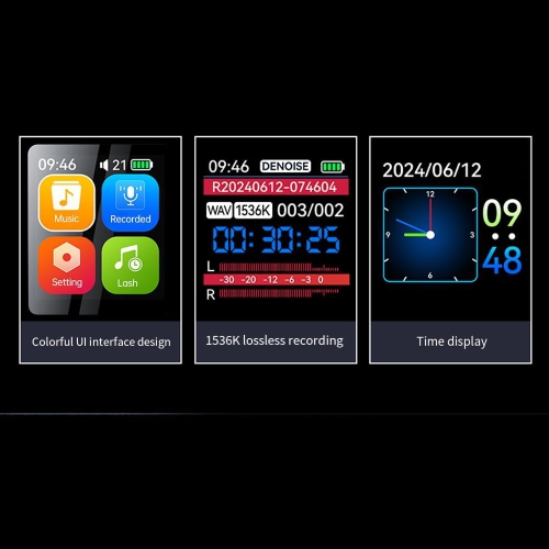 Digital voice recorder, voice activated or recording noise reduction, MP3 music player, 560 hours of recording files, device support password - 16GB