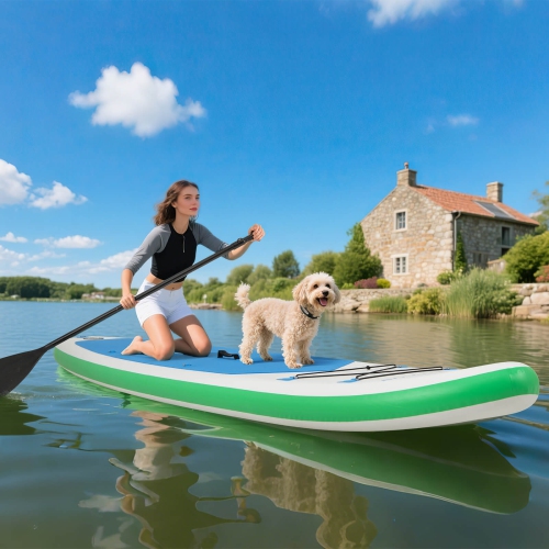 Goplus – Trousse de réparation de pompe à main à pagaie gonflable de 11 pi pour planche à rame, bleu/gris/jaune/bleu foncé/turquoise