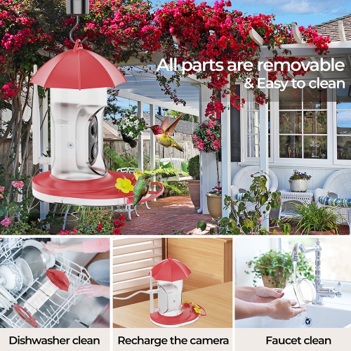 Water Feed For Birds,Smart Solar Powered Video Hummingbird Feeder, AI Bird Auto Capture Video, Ant Moat & Bee Proof, Gift for Bird Lovers