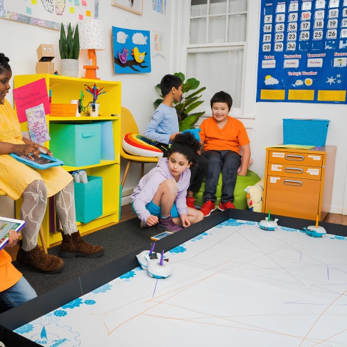 Birdbrain Drawing Mat for Finch Coding Robot | Educational Coding STEM Robots Playmat