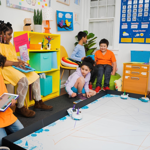 Birdbrain Arena for Finch Coding Toy Robot Accessories