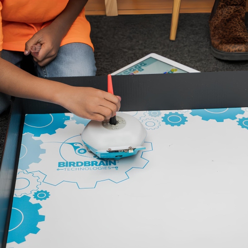 Birdbrain Arena for Finch Coding Toy Robot Accessories