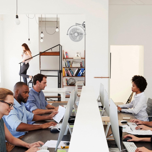 Parrot Uncle Wall Mount Fans Pull in Ceiling Fan with Folding Arm Crod with Plug, 10 Inch, White