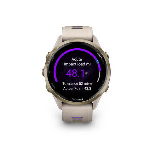 Montre intelligente Bluetooth de 47 mm Forerunner 970 de Garmin pour la course - Gris vert/Indigo translucide
