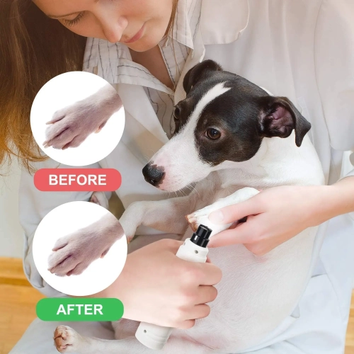 Nail Grinder - Professional 2-Speed Electric Rechargeable Pet Nail Trimmer Painless Paws Grooming & Smoothing for Small Medium Large Dogs