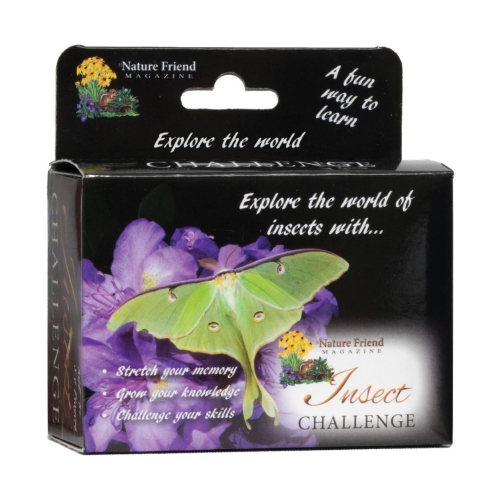 Insect Challenge Game