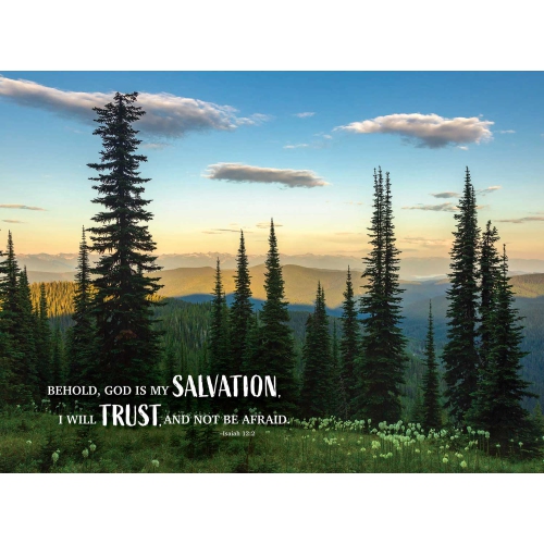 Puzzle Salvation and Trust 1000 PC.