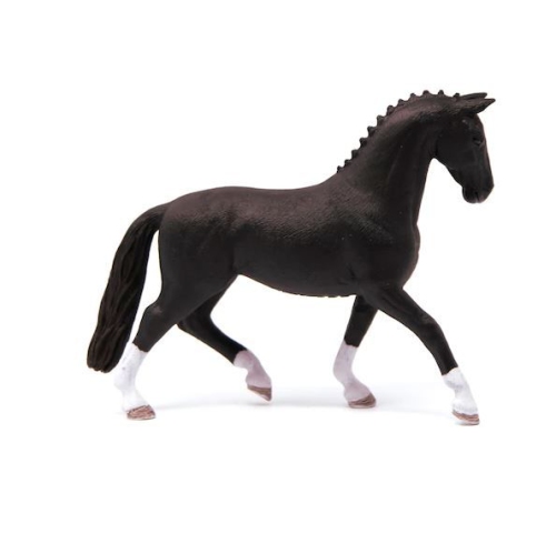 Black Hanoverian Mare