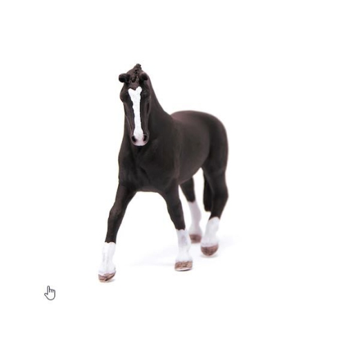 Black Hanoverian Mare
