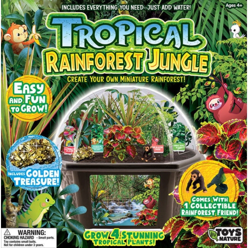 Tropical Rainforest Jungle