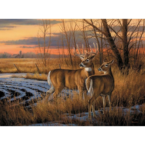 HTL  Puzzle Daybreak 1000 PC