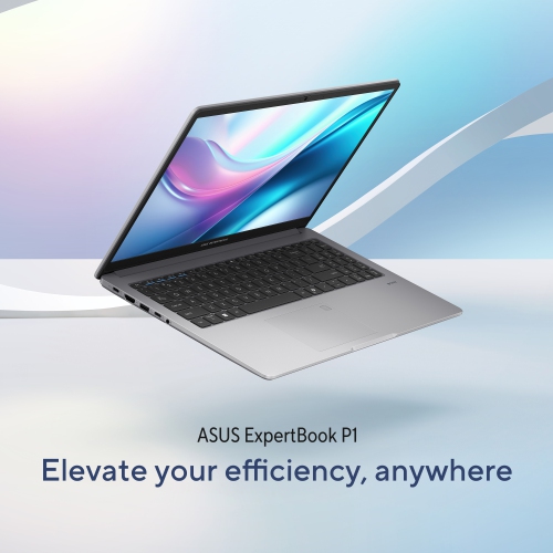 ASUS ExpertBook P1 Business Laptop