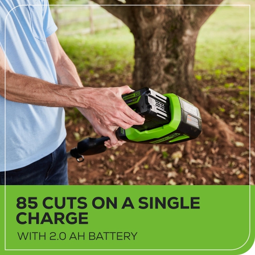 Greenworks 60V 10" Gen 2 Brushless Pole Saw, 2.0Ah Battery and Charger Included