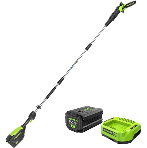 Perche scie sans balais 80&nbsp;V de 10&nbsp;po de Greenworks, batterie 2,0&nbsp;Ah et chargeur inclus