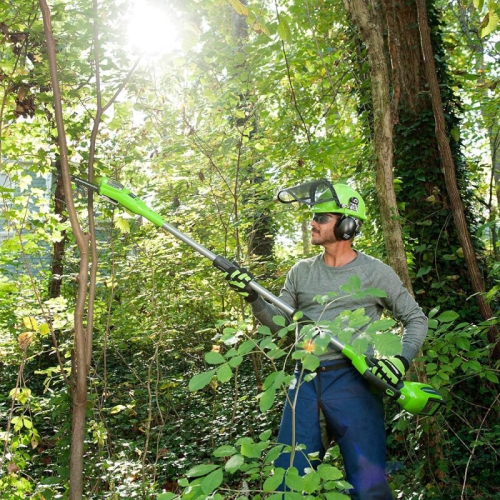 Greenworks 40V 8" Pole Saw, 2.0Ah Battery and Charger Included - 1400017